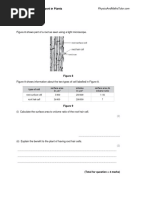 Transport in Plants 