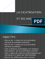 3 - La Cicatrisation Et Ses Anomalies