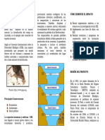 Triptico PEEI Abril1