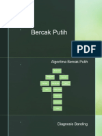 Bercak Putih - Willyam Panistra Mendrofa - 2065050132