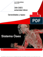 4.0 5.0 Clase Osteologia