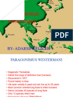 Paragonimus Family NEW