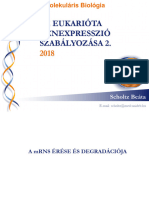 09 01-02 Genexpresszio 3 2019