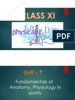 Chapter 7 Anatomy and Physiology (1)