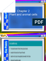 2.1 Plant and Animal Cells-1