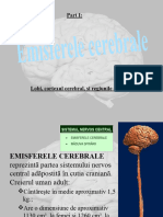 Curs 4 Emisfere Cerebrale