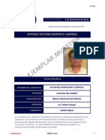 Reporte Muestra DIRH®-REF