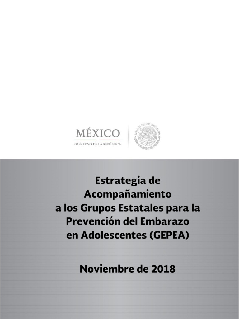 Estrategia de Acompañamiento Gepea | PDF