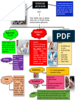 Mapa Conceptual de Neumonia Del Adulto Mayor