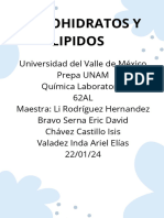 Lipidos