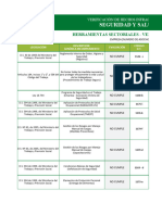 Pauta Verificación