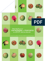 variedadas de manzana de la DOP Asturias