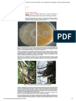 Hipovirulencia ¿Una Solución Al Chancro Del Castaño - Servicio Regional de Investigación y Desarrollo Agroalimentario