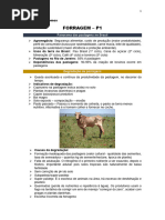 FORRAGEM p1