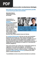 Proteína Fluorescente Revolucionou Biologia - Nobel 2008