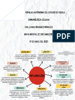 Mapa Mental Inflamacion