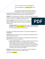 Sistema Nervioso Central y Periférico