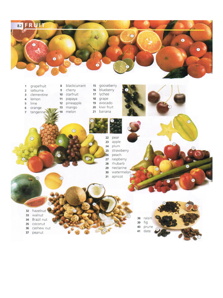 Vocabulary - Fruit | PDF