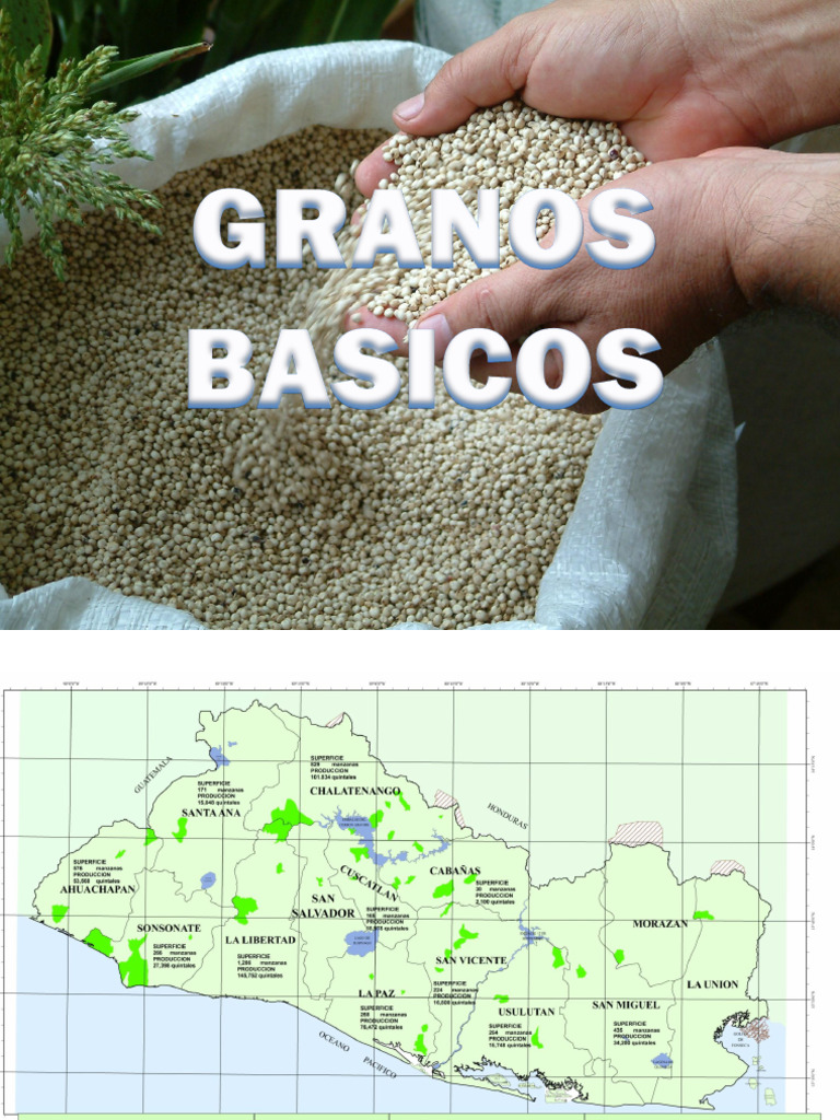 Granos Basicos | PDF