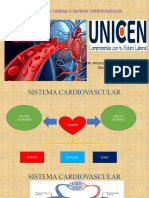 Sistema Cardiovascular