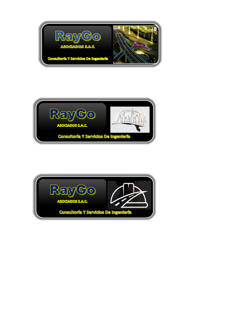 Logo Raygo 333 | PDF