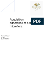 Acquisition, Adherence of Oral Microflora