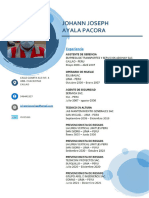 CV Completo 1 Johann Ayala Pacora 