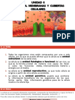 Membranas y Cubiertas Celulares