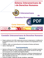 Órganos Del Sistema Interamericano de Protección de Derechos Humanos