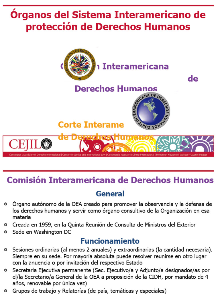 Órganos Del Sistema Interamericano de Protección de Derechos Humanos ...