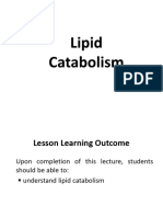 Lipid Catbolism