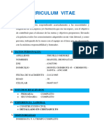 Curriculum Vitae-Trujillo Mendez