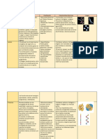 Cuadro Comparativo Macromoléculas