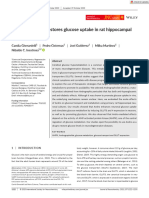 2 Glucosa y Neuronas - Journal of Neurochemistry - 2020 - Gherardelli - Andrographolide Restores Glucose Uptake in Rat Hippocampal Neurons