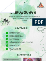 CHIKUNGUNYA 