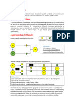 Mendel Cuadro Punnett