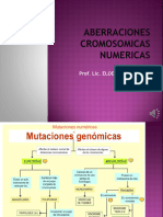 3) Resum - Aberraciones Cromosomicas Numericas