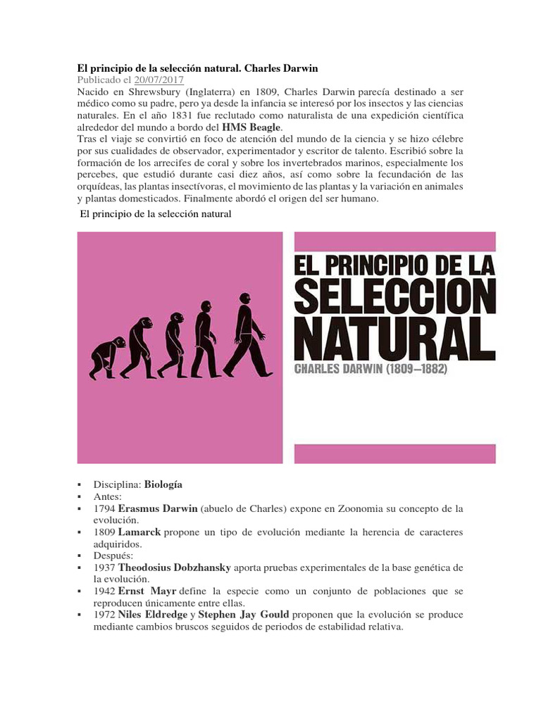 Principios de la selección natural de Darwin | PDF | Charles Darwin ...