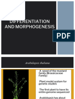 BIO109P Module 2. Differentiation & Morphogenesis