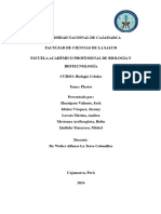 PLASTOS Huaripata, Idáñez, Lovato, Mestanza, Quiliche