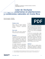 Estudio Radicular de Vochysia y Condiciones Naturales en Costa Rica