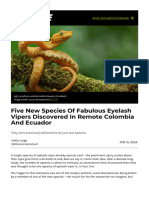 Five New Species of Fabulous Eyelash Vipers Discovered in Remote Colombia and Ecuador