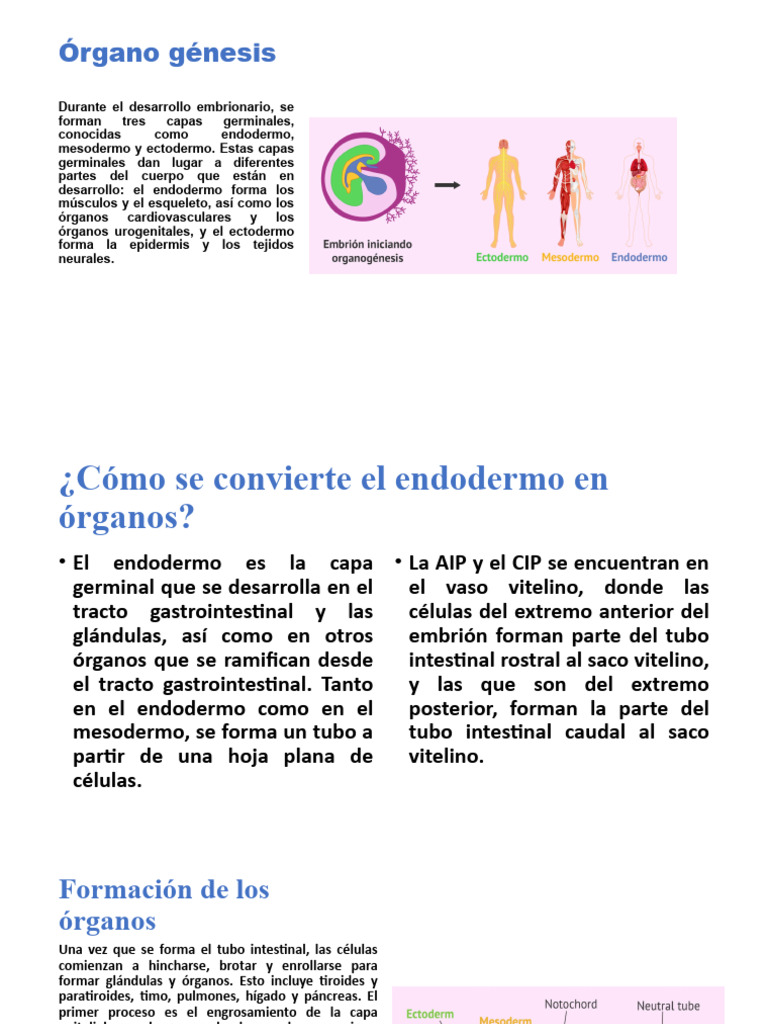 Órgano Ciencias Naturales | PDF | Tecnología de reproducción asistida ...