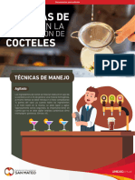 Tecnicas para La Preparacion de Cocktelees