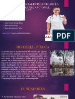 Historia Picota 3