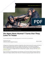 Do Apes Have Humor Turns Out They Love To Tease