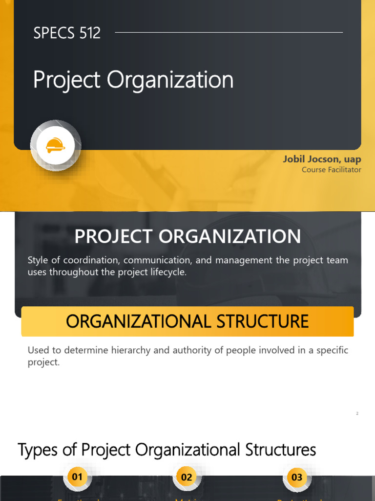 2 Project Organization 2 | Download Free PDF | Organizational Structure ...