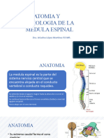 Anatomia y Fisiologia ME 2