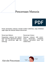 Sistem Pencernaan Manusia