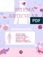 Sistema Articular